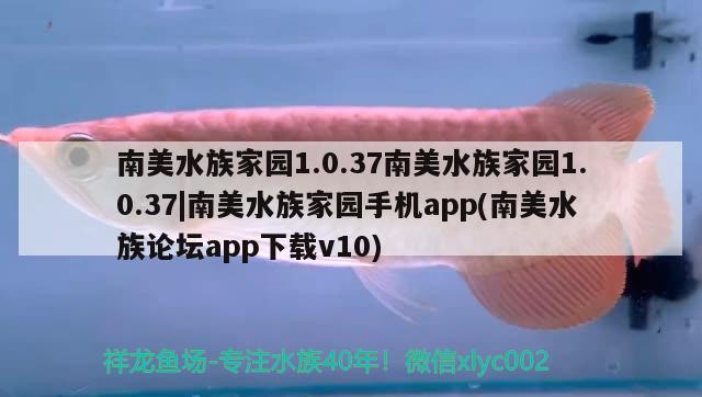 南美水族家園1.0.37南美水族家園1.0.37|南美水族家園手機app(南美水族論壇app下載v10) 觀賞魚市場（混養(yǎng)魚）