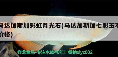 馬達加斯加彩虹月光石(馬達加斯加七彩玉石價格)