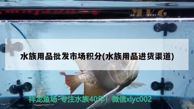 水族用品批發(fā)市場(chǎng)積分(水族用品進(jìn)貨渠道)