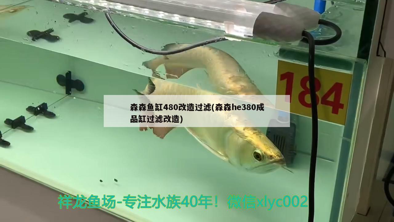 森森魚缸480改造過濾(森森h(huán)e380成品缸過濾改造)