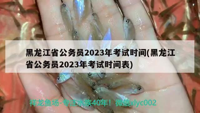 黑龍江省公務(wù)員2023年考試時(shí)間(黑龍江省公務(wù)員2023年考試時(shí)間表) 觀賞魚(yú)