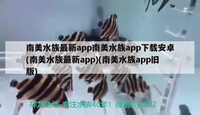 南美水族最新app南美水族app下載安卓(南美水族最新app)(南美水族app舊版)