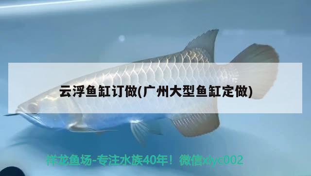 云浮魚缸訂做(廣州大型魚缸定做)