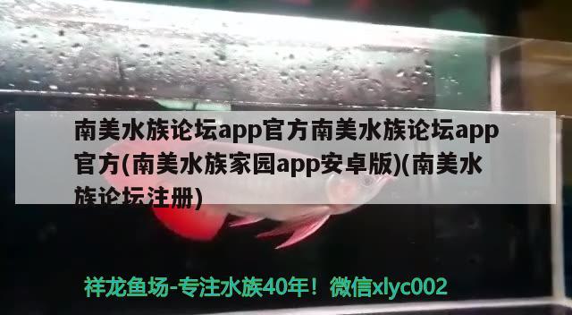 南美水族論壇app官方南美水族論壇app官方(南美水族家園app安卓版)(南美水族論壇注冊(cè)) 斑馬鴨嘴魚(yú)