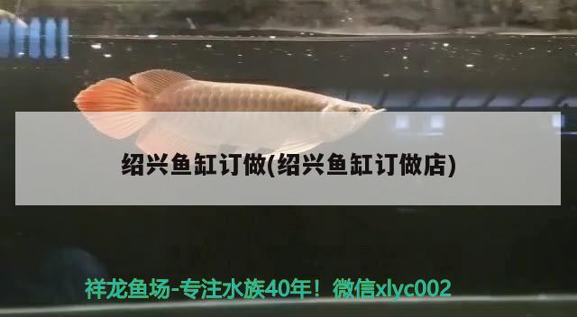 紹興魚缸訂做(紹興魚缸訂做店)