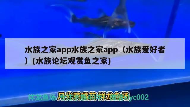 水族之家app水族之家app（水族愛好者）(水族論壇觀賞魚之家)