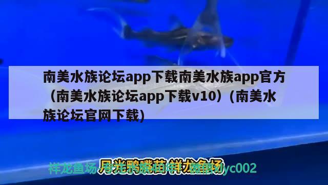 南美水族論壇app下載南美水族app官方（南美水族論壇app下載v10）(南美水族論壇官網(wǎng)下載)