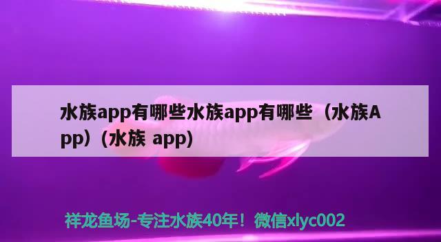 水族app有哪些水族app有哪些（水族App）(水族app) B級過背金龍魚