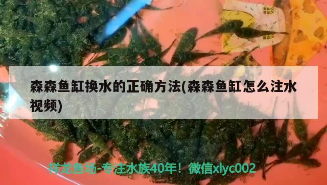 森森魚缸換水的正確方法(森森魚缸怎么注水視頻)