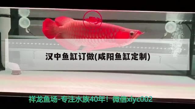 漢中魚(yú)缸訂做(咸陽(yáng)魚(yú)缸定制)