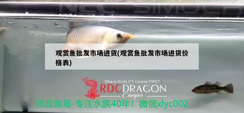 觀賞魚批發(fā)市場(chǎng)進(jìn)貨(觀賞魚批發(fā)市場(chǎng)進(jìn)貨價(jià)格表)