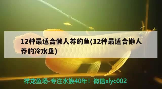 12種最適合懶人養(yǎng)的魚(yú)(12種最適合懶人養(yǎng)的冷水魚(yú))