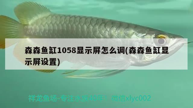 森森魚缸1058顯示屏怎么調(diào)(森森魚缸顯示屏設(shè)置) 月光鴨嘴魚苗