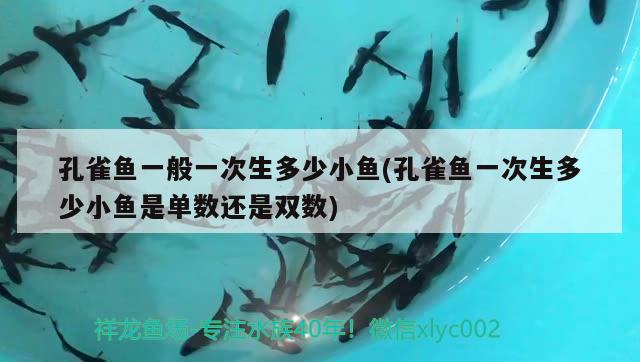 孔雀魚一般一次生多少小魚(孔雀魚一次生多少小魚是單數(shù)還是雙數(shù)) 觀賞魚