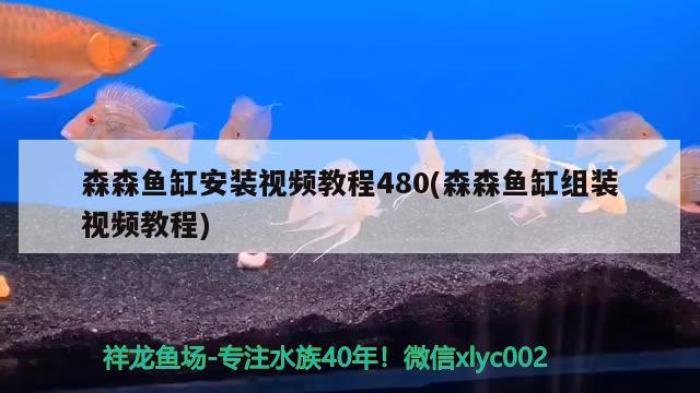 森森魚缸安裝視頻教程480(森森魚缸組裝視頻教程)