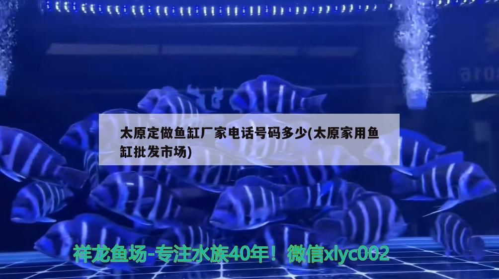 太原定做魚缸廠家電話號碼多少(太原家用魚缸批發(fā)市場) 祥龍魚場品牌產(chǎn)品