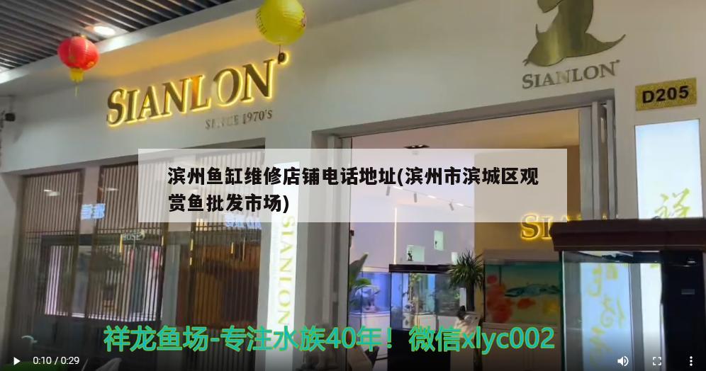 濱州魚缸維修店鋪電話地址(濱州市濱城區(qū)觀賞魚批發(fā)市場(chǎng)) 觀賞魚批發(fā)