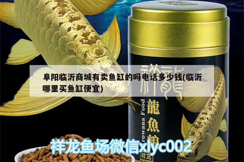 阜陽臨沂商城有賣魚缸的嗎電話多少錢(臨沂哪里買魚缸便宜) 飛鳳魚苗