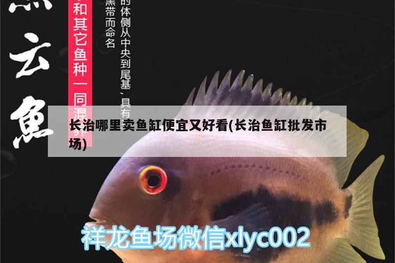 長治哪里賣魚缸便宜又好看(長治魚缸批發(fā)市場) 祥龍龍魚專用水族燈