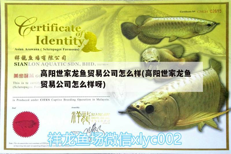 高陽世家龍魚貿易公司怎么樣(高陽世家龍魚貿易公司怎么樣呀)