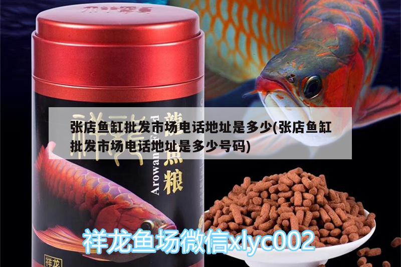 張店魚缸批發(fā)市場電話地址是多少(張店魚缸批發(fā)市場電話地址是多少號(hào)碼) 夢幻雷龍魚