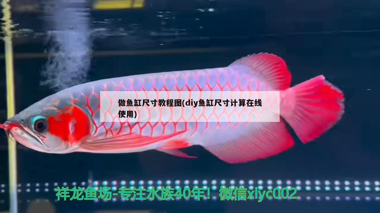 做魚缸尺寸教程圖(diy魚缸尺寸計(jì)算在線使用) 白化巴西龜（白巴）