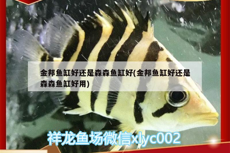 嘉興魚缸售后維護(hù)中心地址（嘉興魚缸售后維護(hù)中心地址電話） 其他品牌魚缸