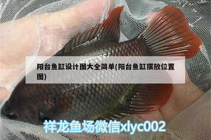 懷化水族批發(fā)市場都在哪里(湖南懷化水產(chǎn)交易市場) 觀賞魚水族批發(fā)市場