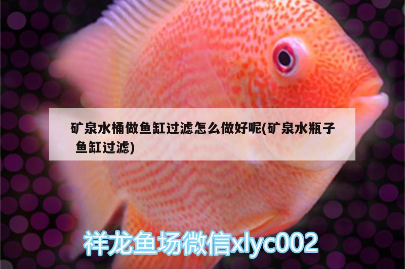 礦泉水桶做魚缸過濾怎么做好呢(礦泉水瓶子魚缸過濾)