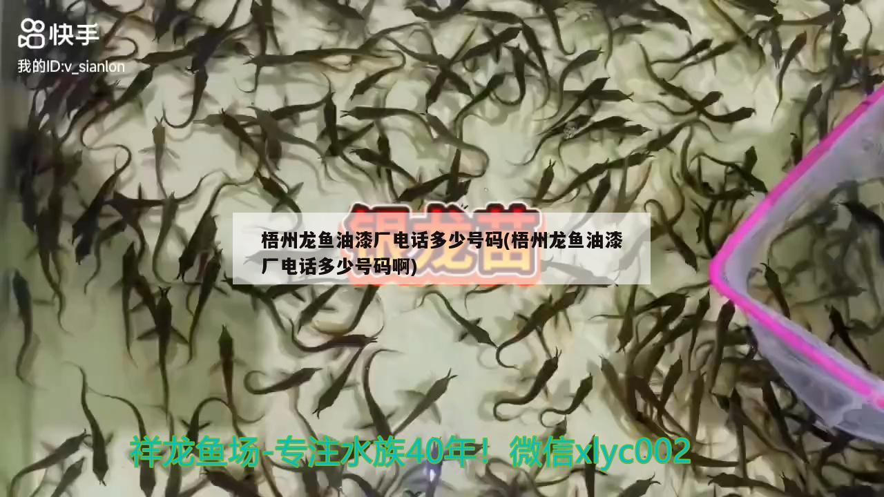 梧州龍魚油漆廠電話多少號碼(梧州龍魚油漆廠電話多少號碼啊)