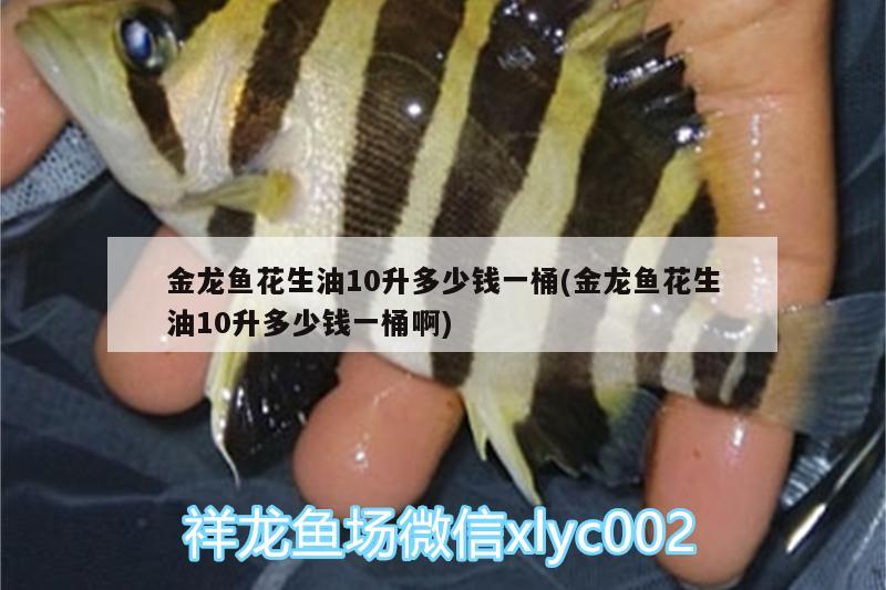 金龍魚花生油10升多少錢一桶(金龍魚花生油10升多少錢一桶啊) 海象魚