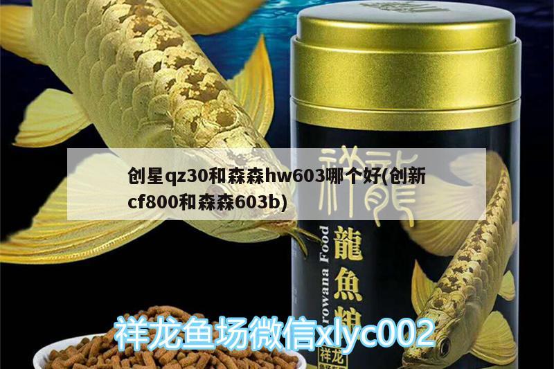 創(chuàng)星qz30和森森h(huán)w603哪個好(創(chuàng)新cf800和森森603b) 圖騰金龍魚