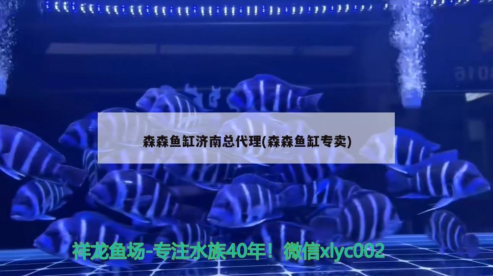 森森魚缸濟南總代理(森森魚缸專賣) 祥龍水族護(hù)理水