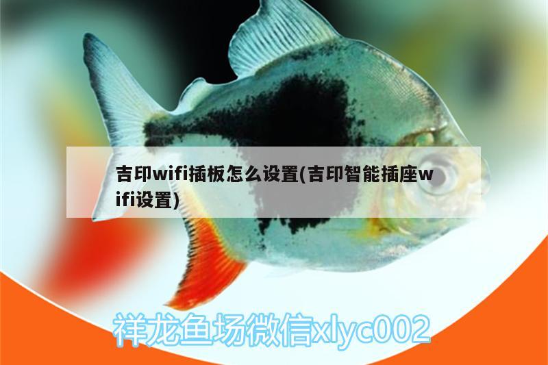 吉印wifi插板怎么設置(吉印智能插座wifi設置)