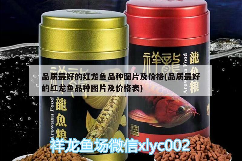 品質(zhì)最好的紅龍魚品種圖片及價(jià)格(品質(zhì)最好的紅龍魚品種圖片及價(jià)格表)