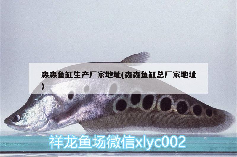 森森魚(yú)缸生產(chǎn)廠家地址(森森魚(yú)缸總廠家地址) 鴨嘴鯊魚(yú)