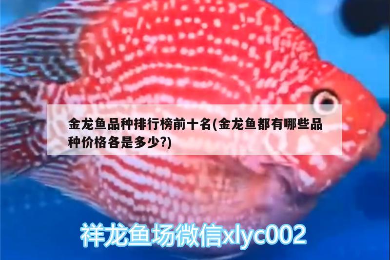 金龍魚品種排行榜前十名(金龍魚都有哪些品種價(jià)格各是多少?) 森森魚缸