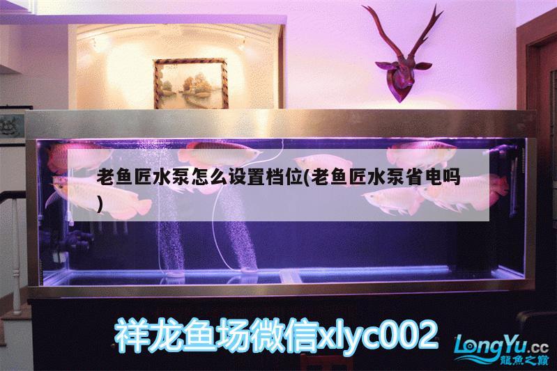 老魚匠水泵怎么設(shè)置檔位(老魚匠水泵省電嗎)