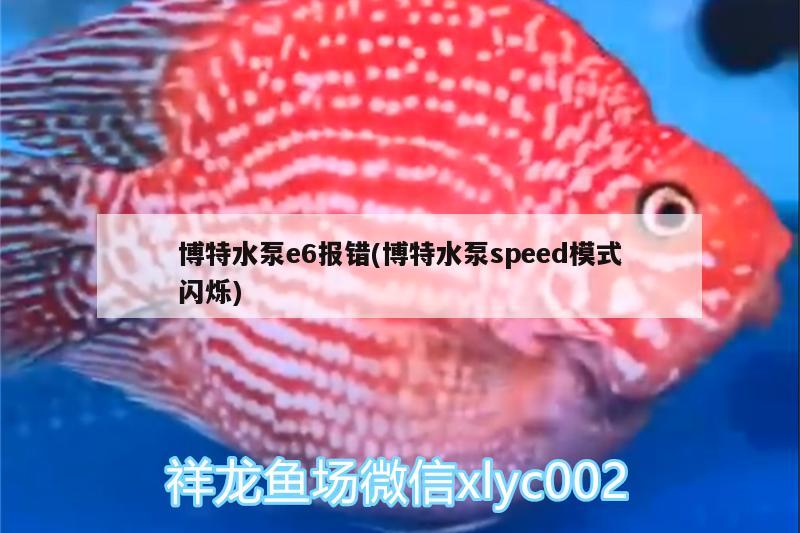 博特水泵e6報錯(博特水泵speed模式閃爍) 垂釣樂園