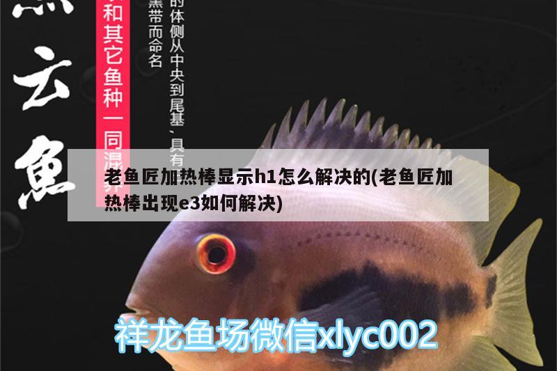 老魚匠加熱棒顯示h1怎么解決的(老魚匠加熱棒出現(xiàn)e3如何解決) 老魚匠