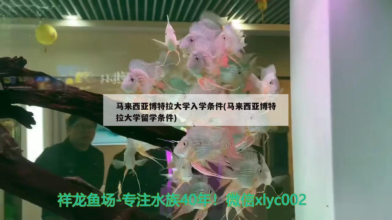 馬來(lái)西亞博特拉大學(xué)入學(xué)條件(馬來(lái)西亞博特拉大學(xué)留學(xué)條件) 博特水族