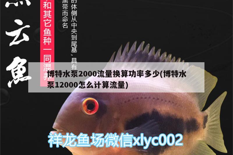 博特水泵2000流量換算功率多少(博特水泵12000怎么計(jì)算流量) 博特水族