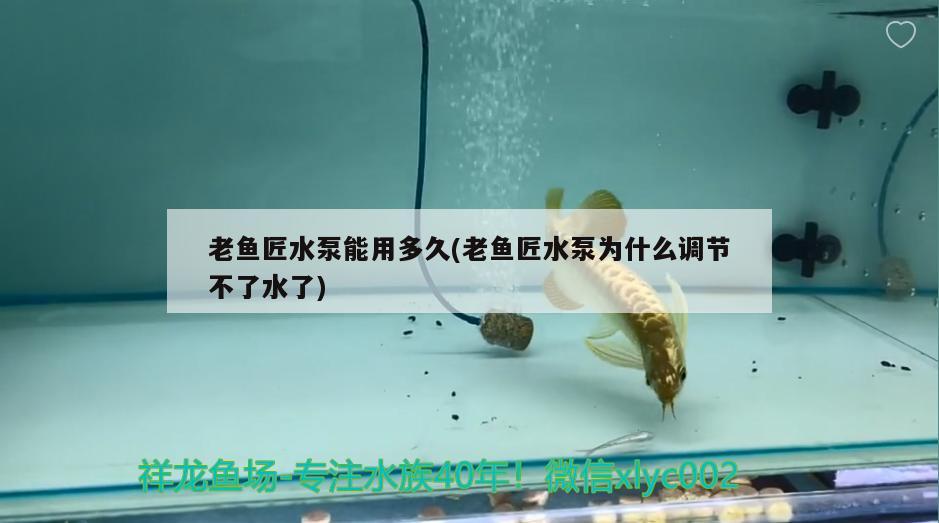 老魚匠水泵能用多久(老魚匠水泵為什么調(diào)節(jié)不了水了) 老魚匠