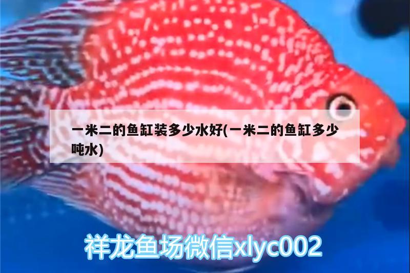 一米二的魚缸裝多少水好(一米二的魚缸多少噸水)