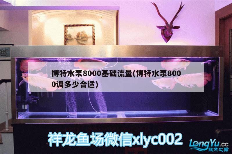 博特水泵8000基礎(chǔ)流量(博特水泵8000調(diào)多少合適)