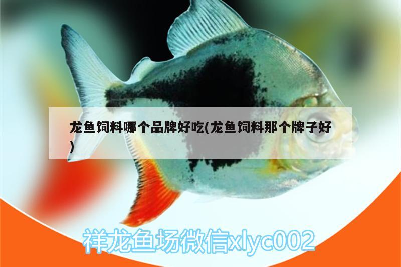 龍魚飼料哪個品牌好吃(龍魚飼料那個牌子好) 丹頂錦鯉魚