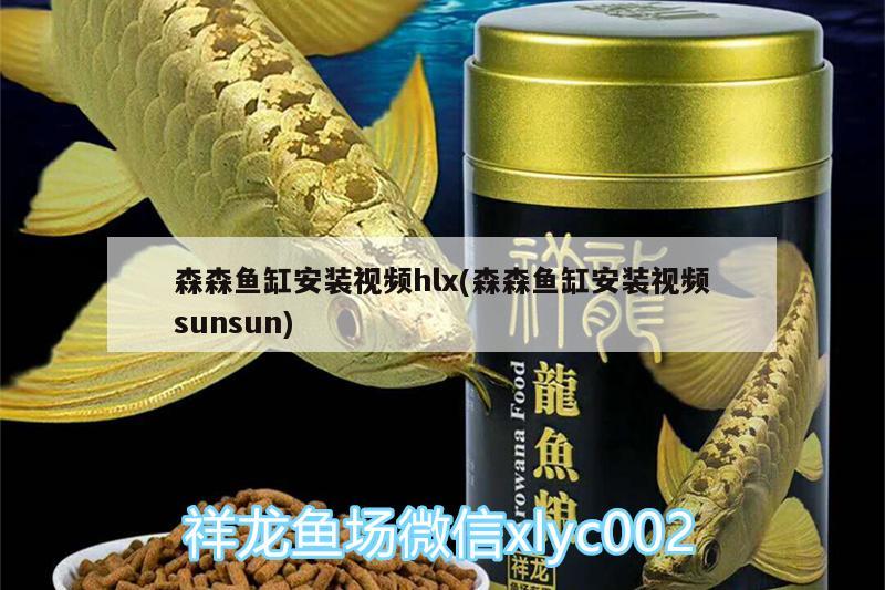 森森魚缸安裝視頻hlx(森森魚缸安裝視頻sunsun) 白子銀版魚