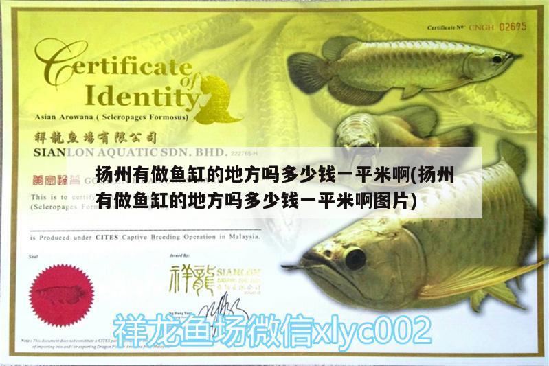 揚州有做魚缸的地方嗎多少錢一平米啊(揚州有做魚缸的地方嗎多少錢一平米啊圖片) 斑馬鴨嘴魚