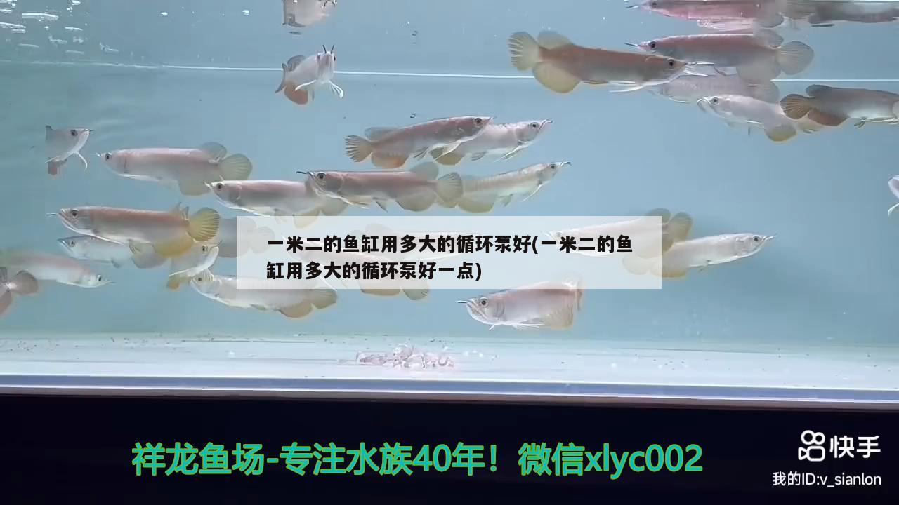 一米二的魚缸用多大的循環(huán)泵好(一米二的魚缸用多大的循環(huán)泵好一點(diǎn))