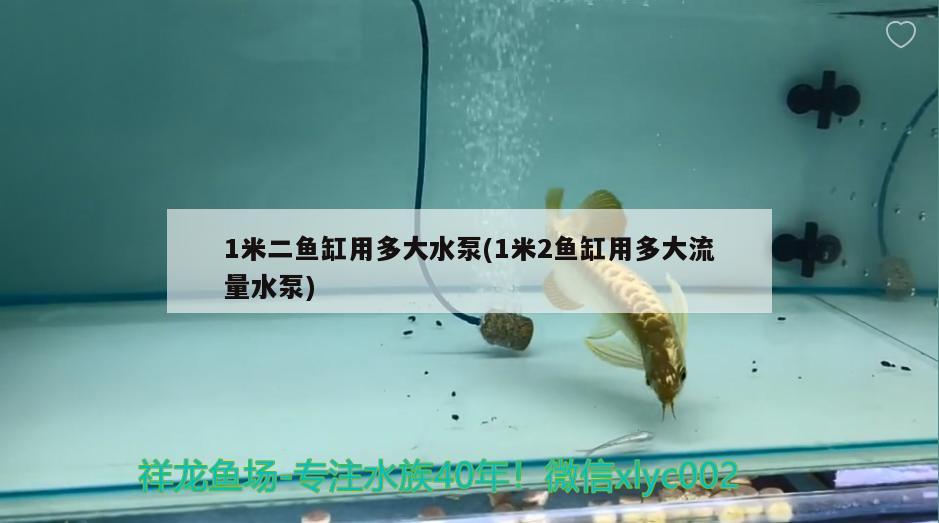 1米二魚缸用多大水泵(1米2魚缸用多大流量水泵)